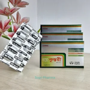 Kustori (2 Box) রেগুলার কোর্স
